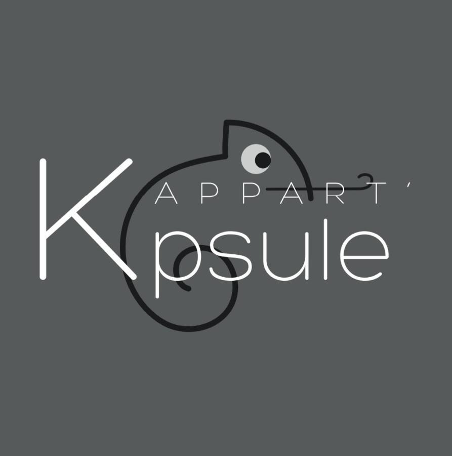 L'Appart K-Psule - Design, Tout Confort, Centre-Ville, 3 Pers Le Mans Exterior photo